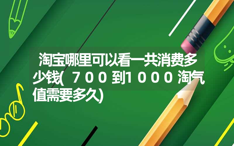 淘宝哪里可以看一共消费多少钱(700到1000淘气值需要多久) 淘宝哪里可以看一共消费多少钱(700到1000淘气值需要多久)
