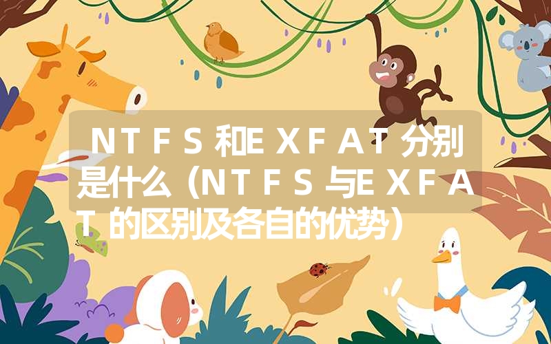 ntfs和exfat分别是什么(ntfs与exfat的区别及各自的优势) ntfs和exfat分别是什么(ntfs与exfat的区别及各自的优势)