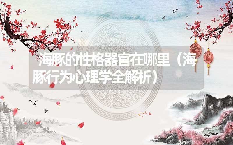 海豚的性格器官在哪里(海豚行为心理学全解析) 海豚的性格器官在哪里(海豚行为心理学全解析)