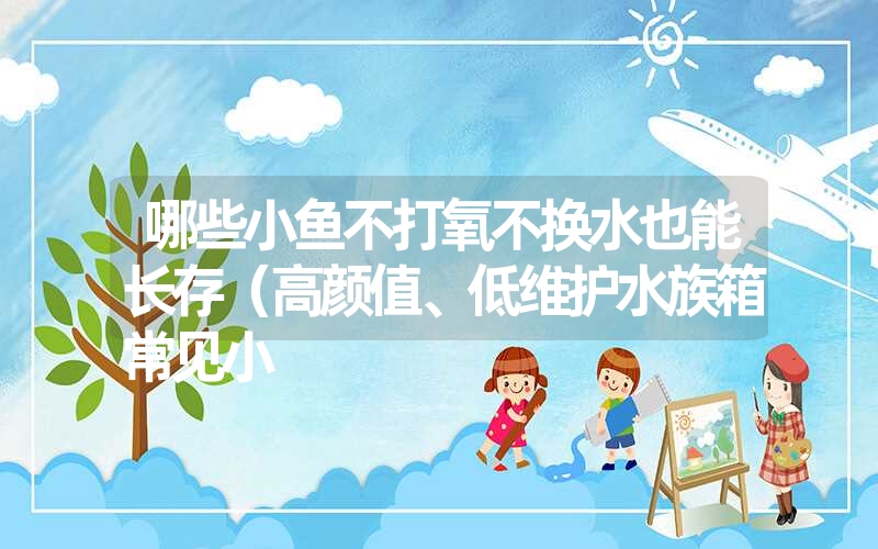 哪些小鱼不打氧不换水也能长存(高颜值、低维护水族箱常见小 哪些小鱼不打氧不换水也能长存(高颜值、低维护水族箱常见小