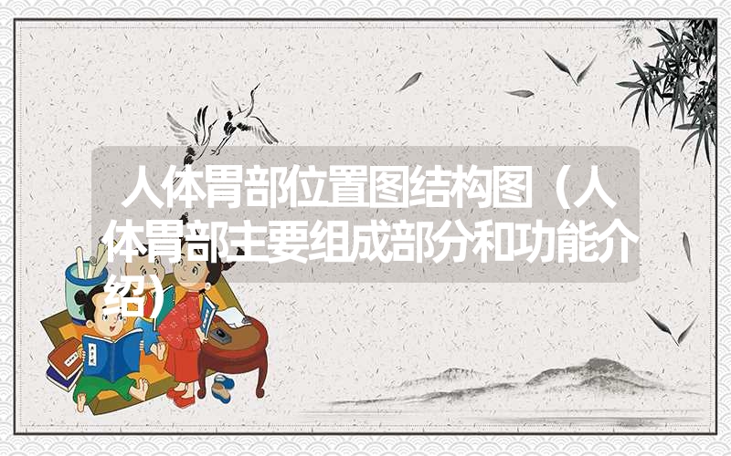 人体胃部位置图结构图(人体胃部主要组成部分和功能介绍) 人体胃部位置图结构图(人体胃部主要组成部分和功能介绍)